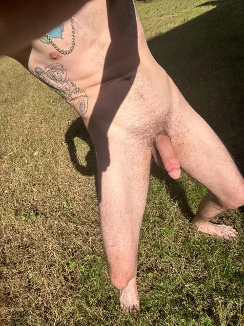 Nice sunny day by Pure_Lengthiness_671