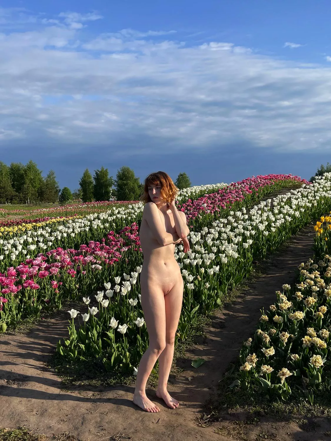 Tulip fields posted by elcansky