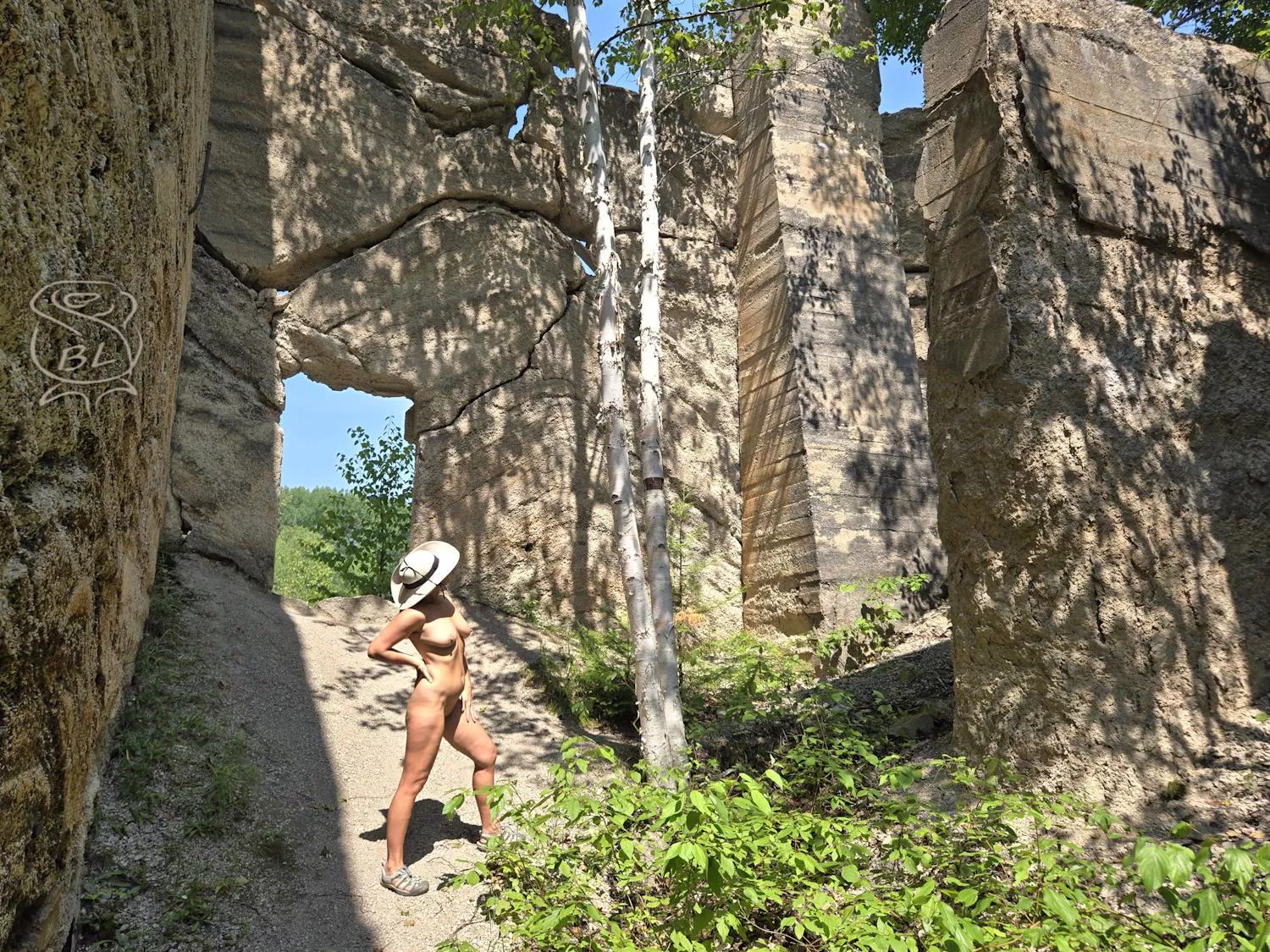 Admiring a determined little birch! posted by BareLeiaRose