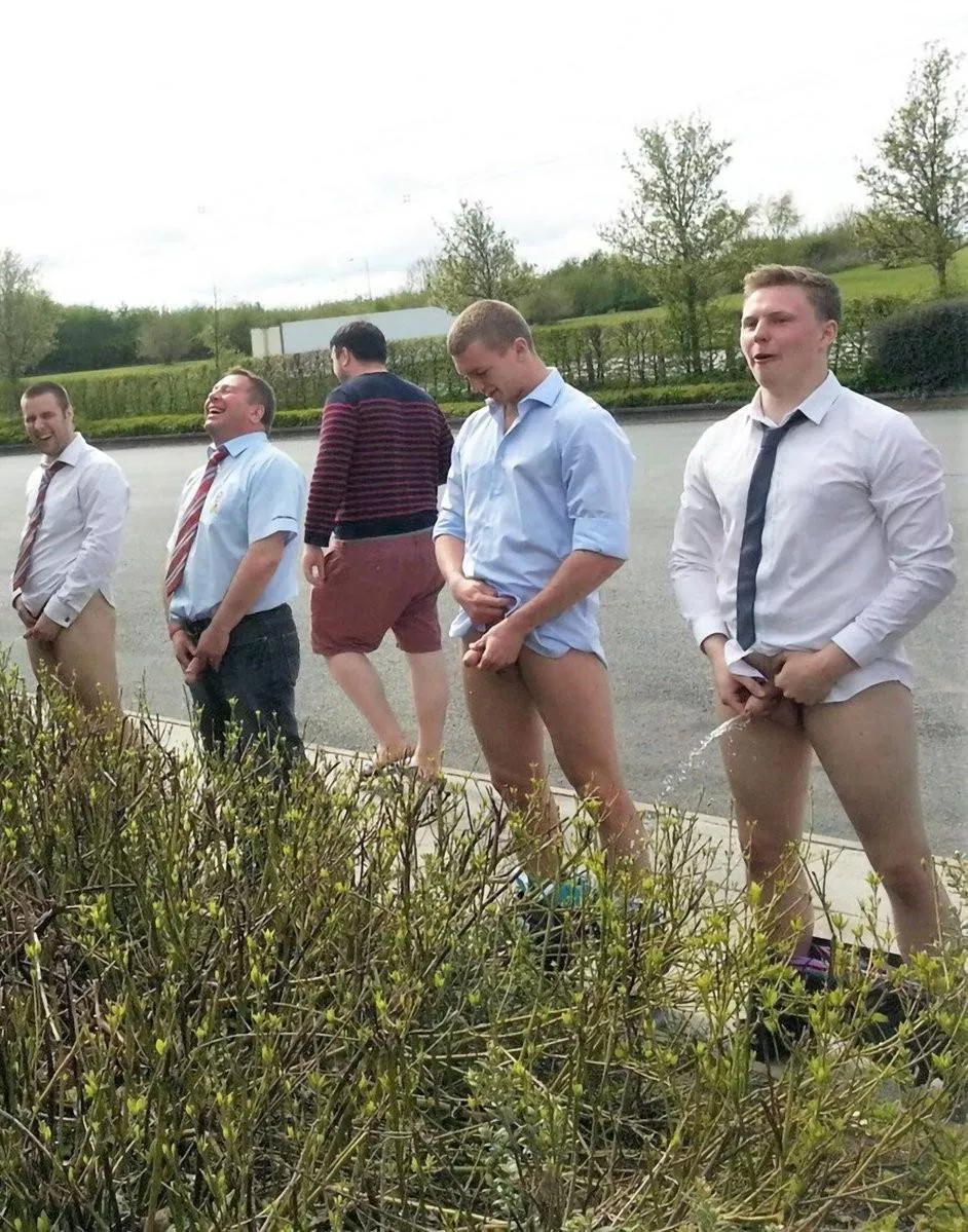 Friendly competition posted by wwrq