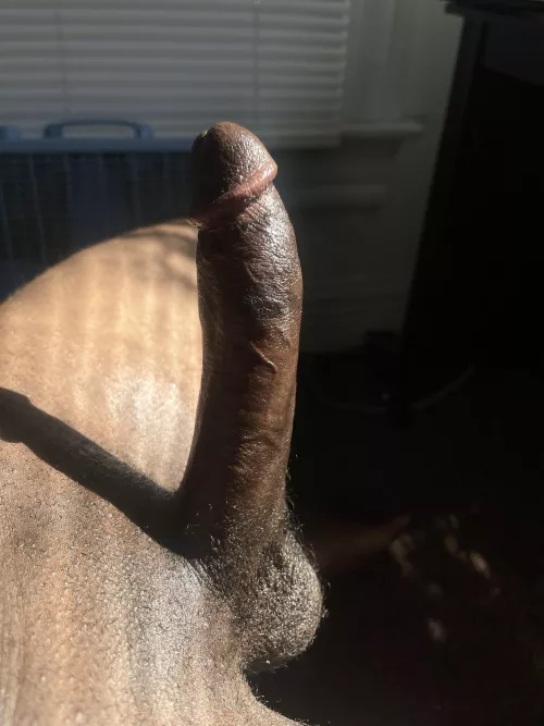 Fun time  by jorkin_my_it