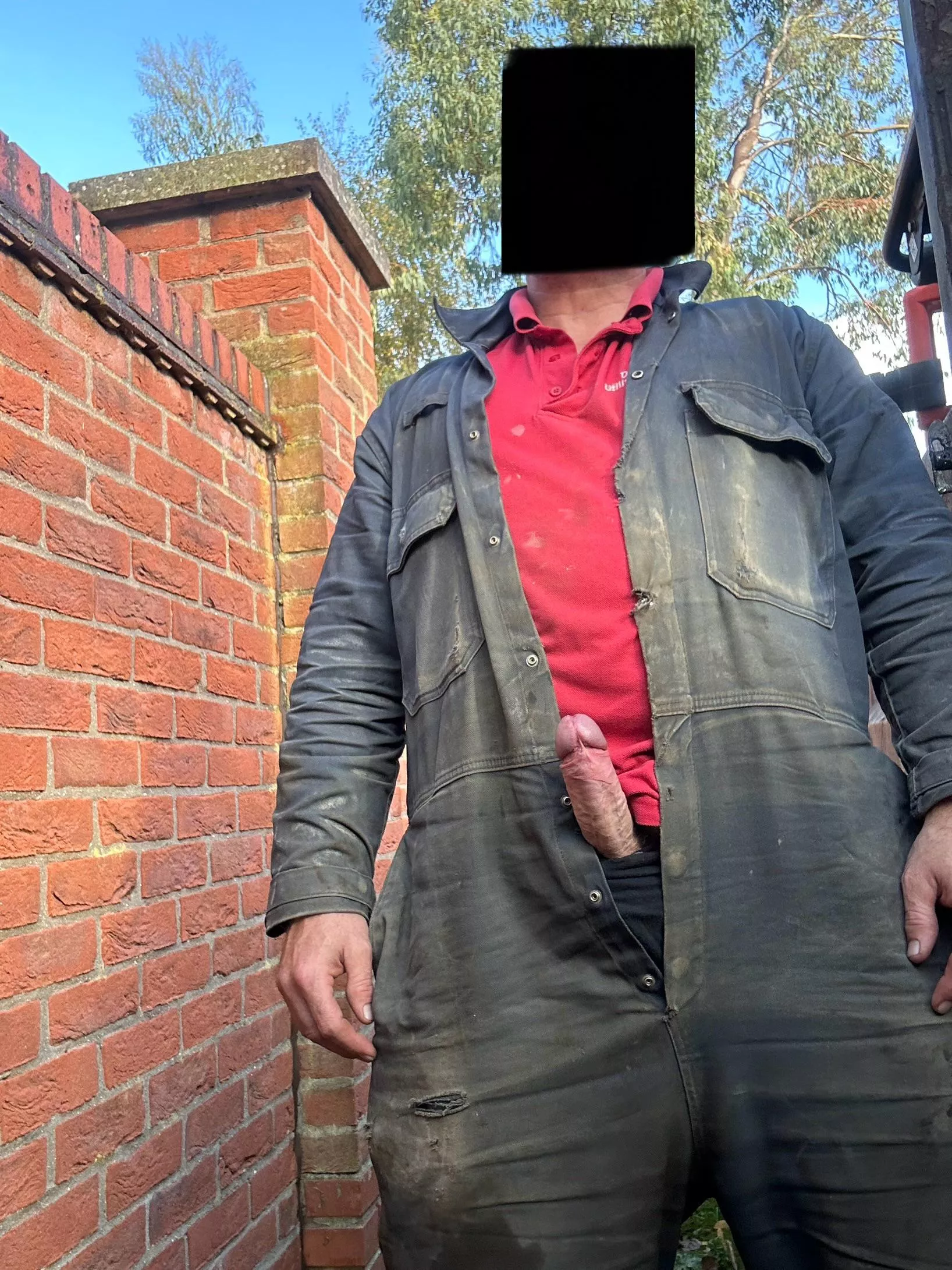 Hard at work  posted by -mostlyconfused