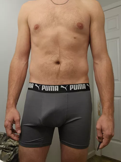 I love my pumas by NorthCountry2016