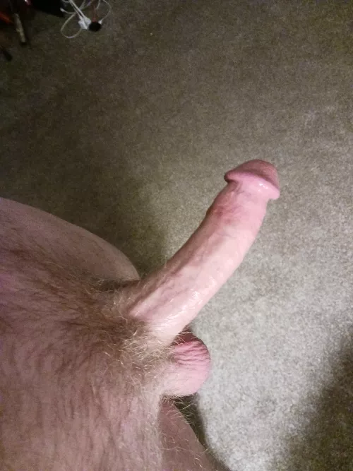 I really need somewhere to put him!![51] by Brilliant-Ruin-9643