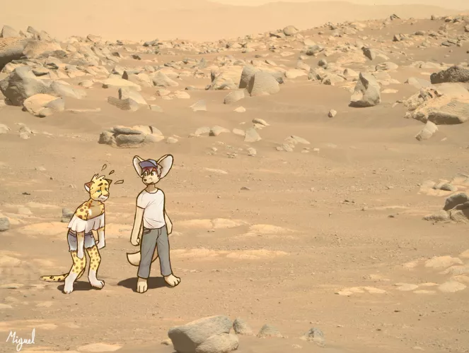 I'm tired (by me) by Fenecoo