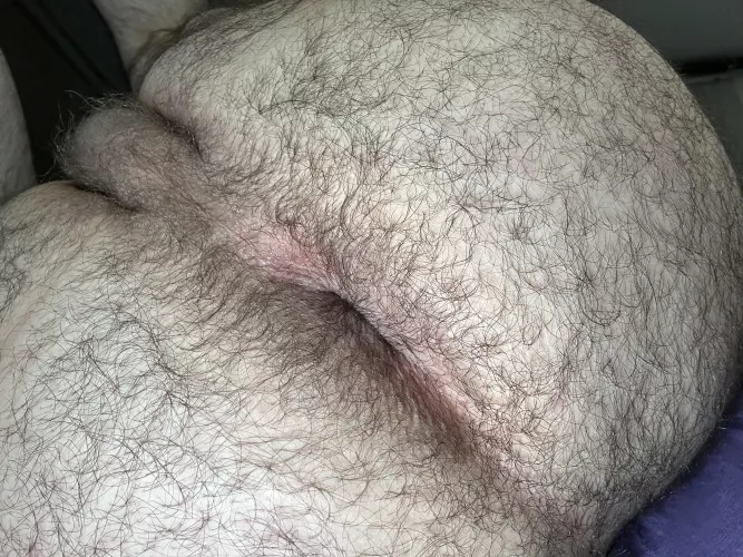 Nothing to see here...just another pic of my furry cheeks and hole 👀 by best-hole