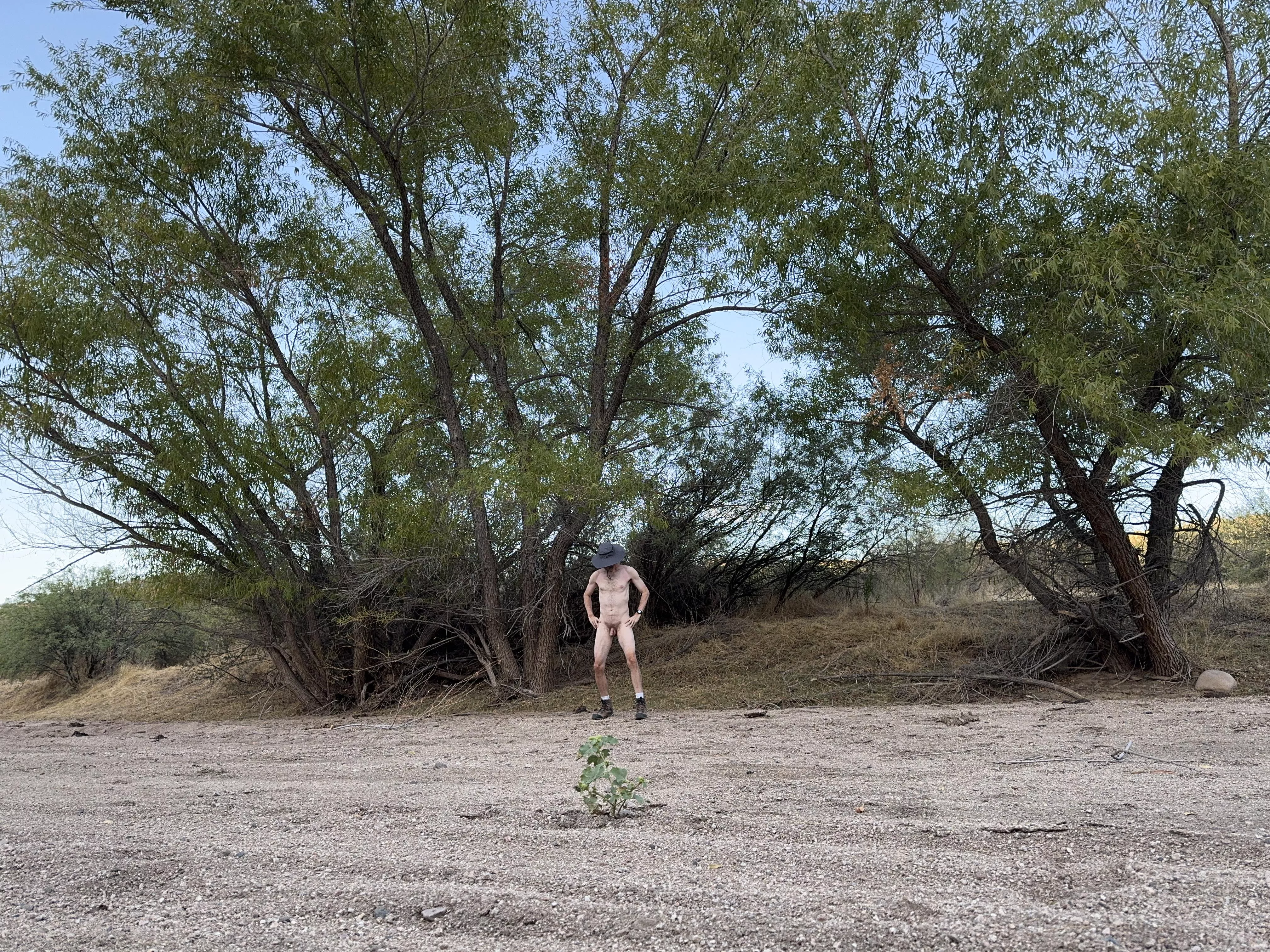 🌳Tree Pose Tuesday🌳 posted by Boobluvr0069