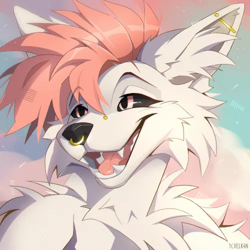 Wolf 🐺 by Velkanh