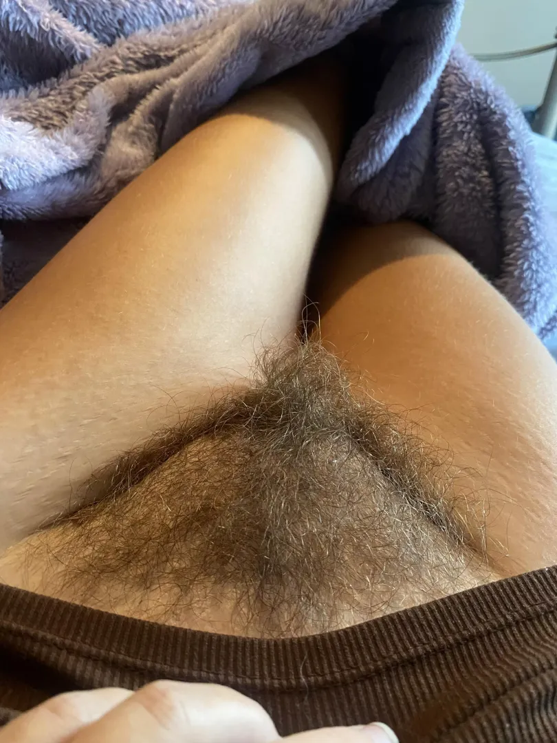 Bush or No Bush?  posted by Critical-Storm1675