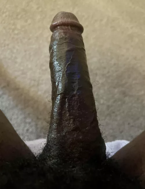  Just because I’m bored 💪🏾 by TrellTrell19