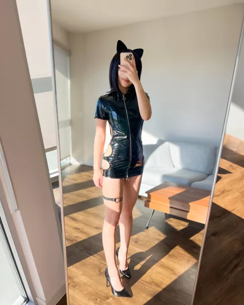 Seeing a black cat doesn't always mean bad luck by fun-sized-asian