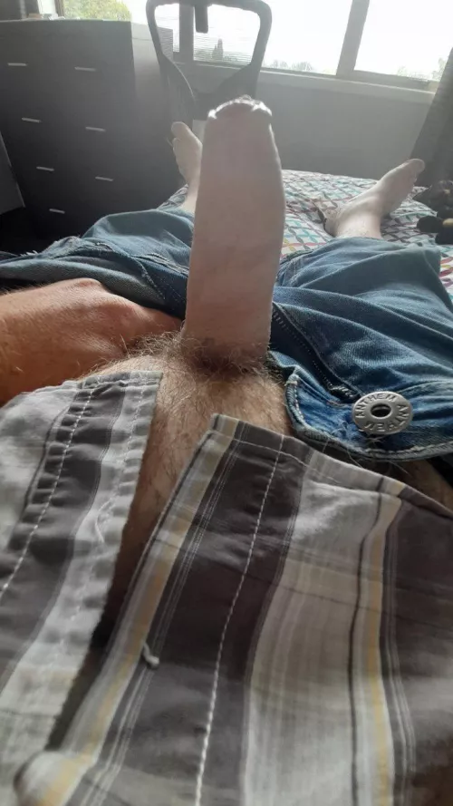 (43) in the light by flimsymask