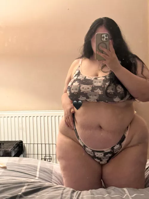 cute kitty cats by xehilia