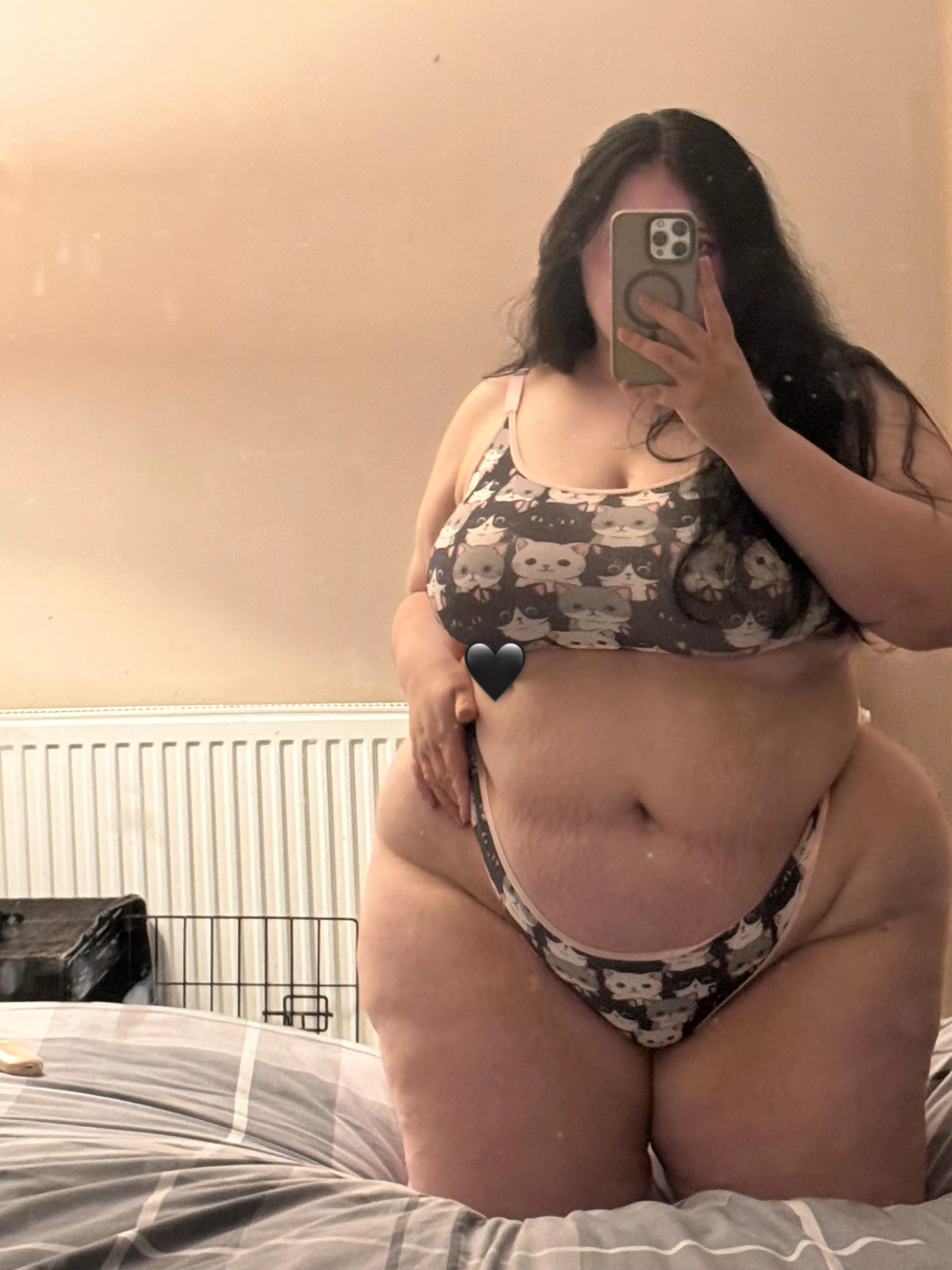 cute kitty cats posted by xehilia