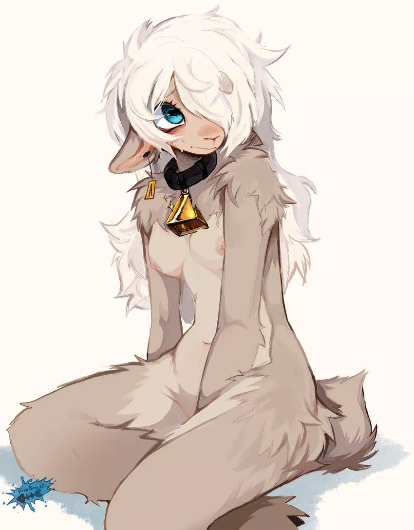 Cute Sheep [F] (fishbonedd) posted by A_MASSIVE_PERVERT