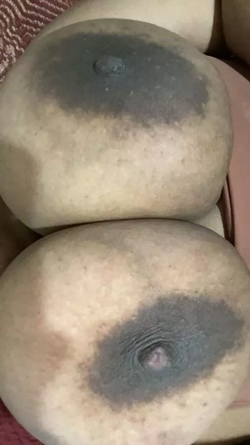 Huge D cup  posted by PriorityMiserable296