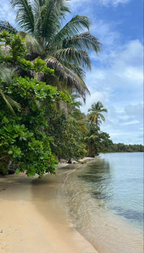 Panama 🇵🇦 by heavysinki