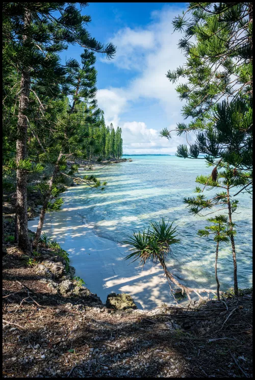 Pine beach, NC by colapepsikinnie