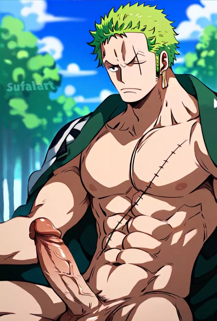 Zoro wants to train his sword with you ( sufalart) posted by Asorugni