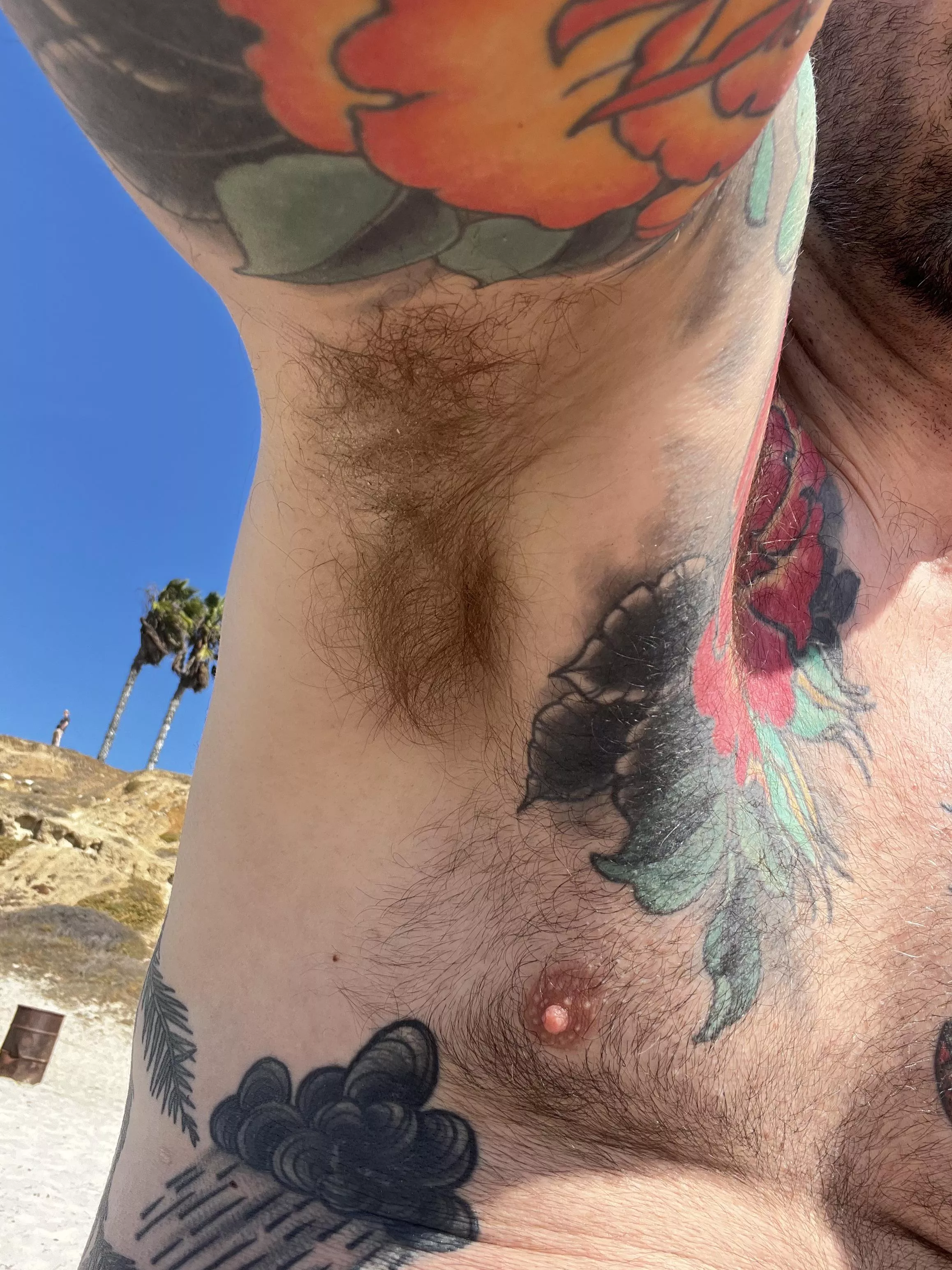 Beach pit  posted by Sea_Bee_5732