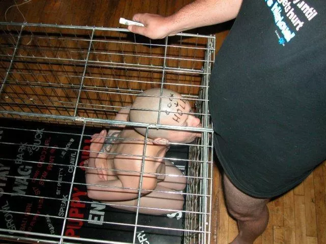 Cage farming posted by Ok_Creme7476