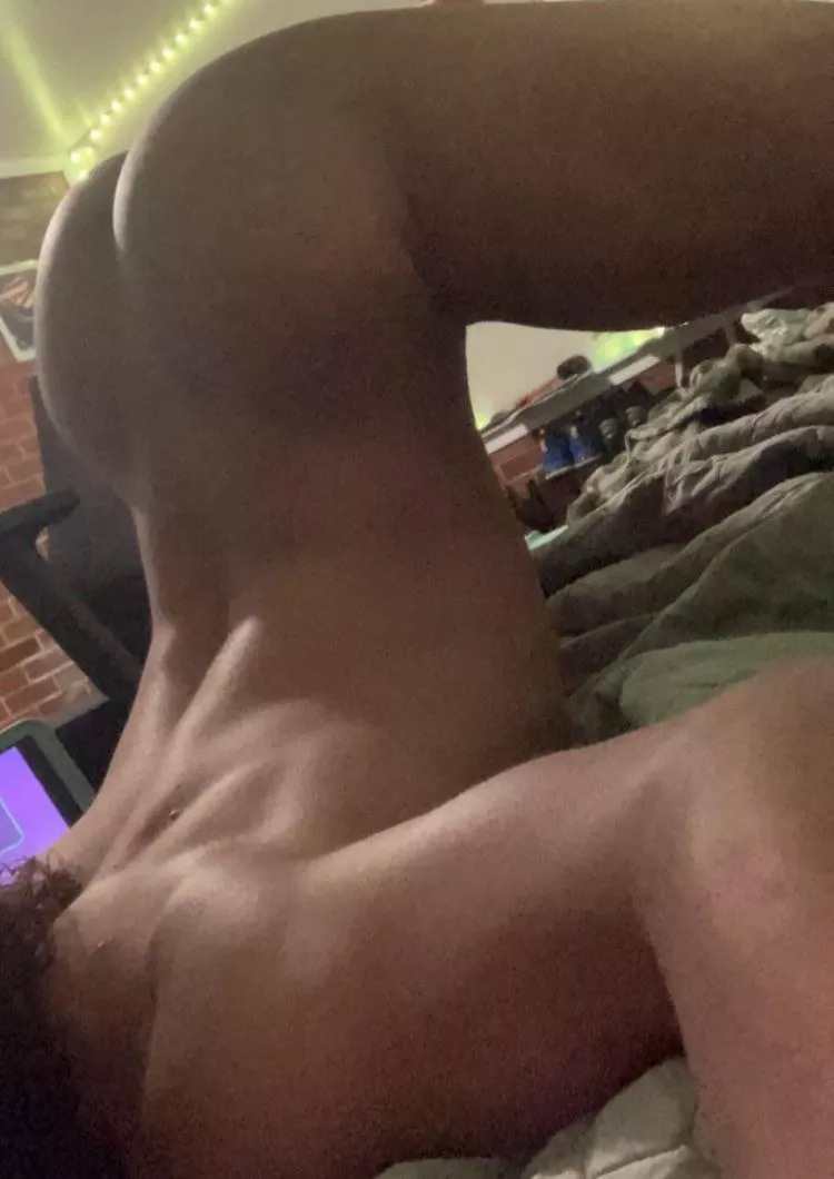 Femboy arch :3 posted by Pammispup