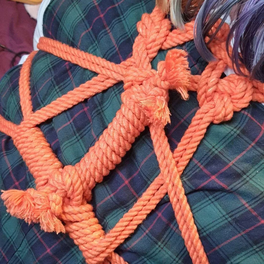 From a little while ago!  posted by Enterrsshibarii