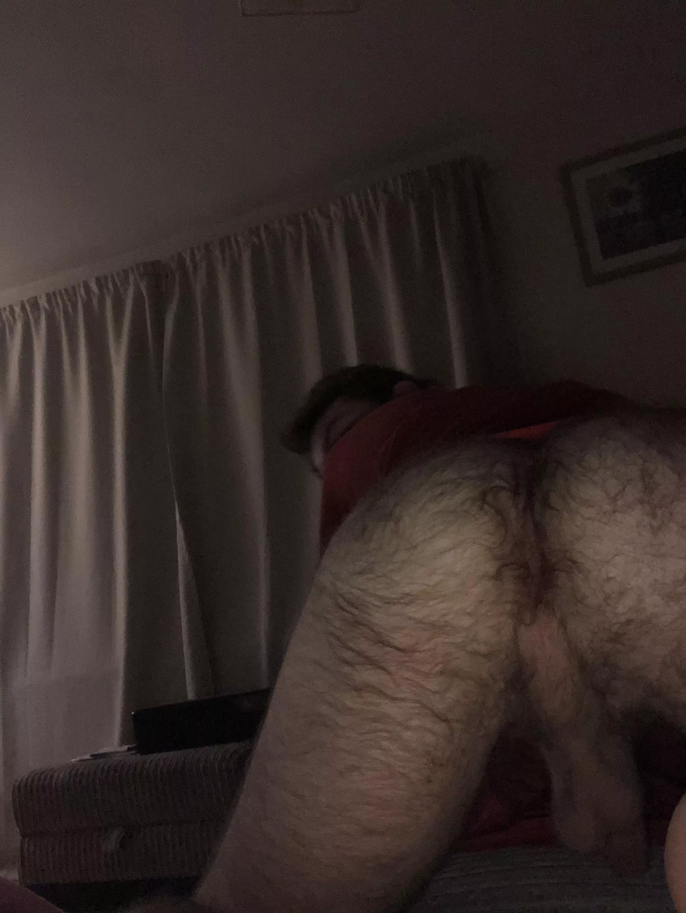 hairy ass 😉 posted by Salty_Law_4961