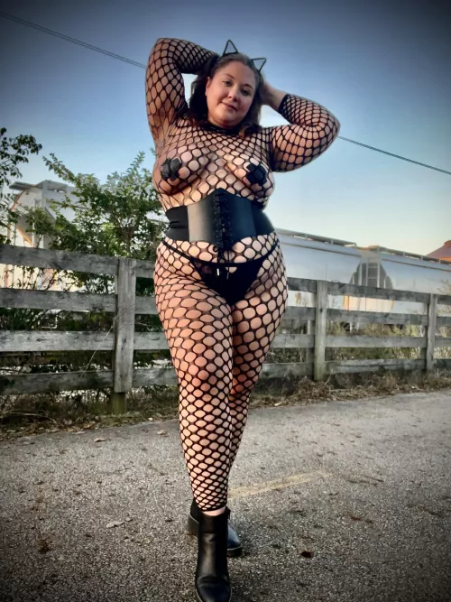 Kitty cats love to play and tease  by ivegotasecret29