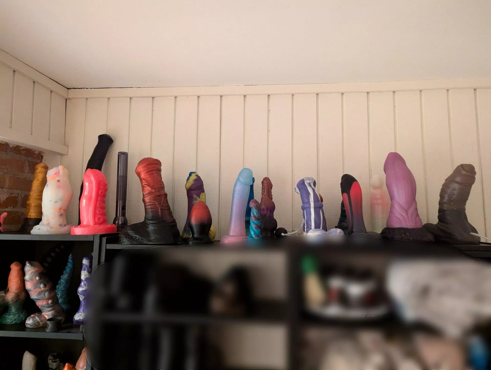 most of my collection 💚 posted by Sleepylilfawn