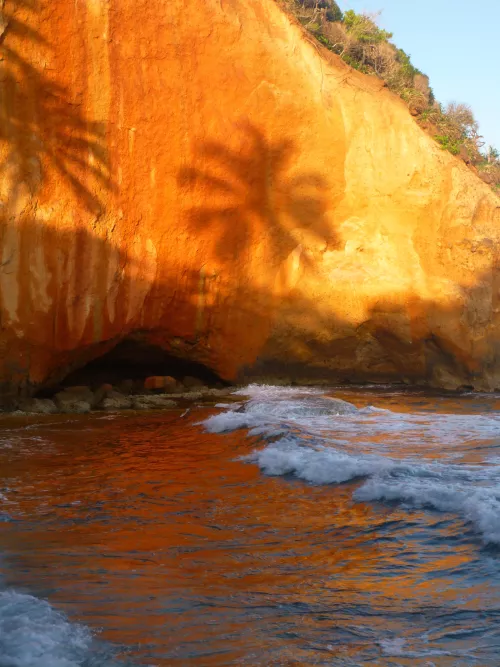 Palm shadow  by colapepsikinnie