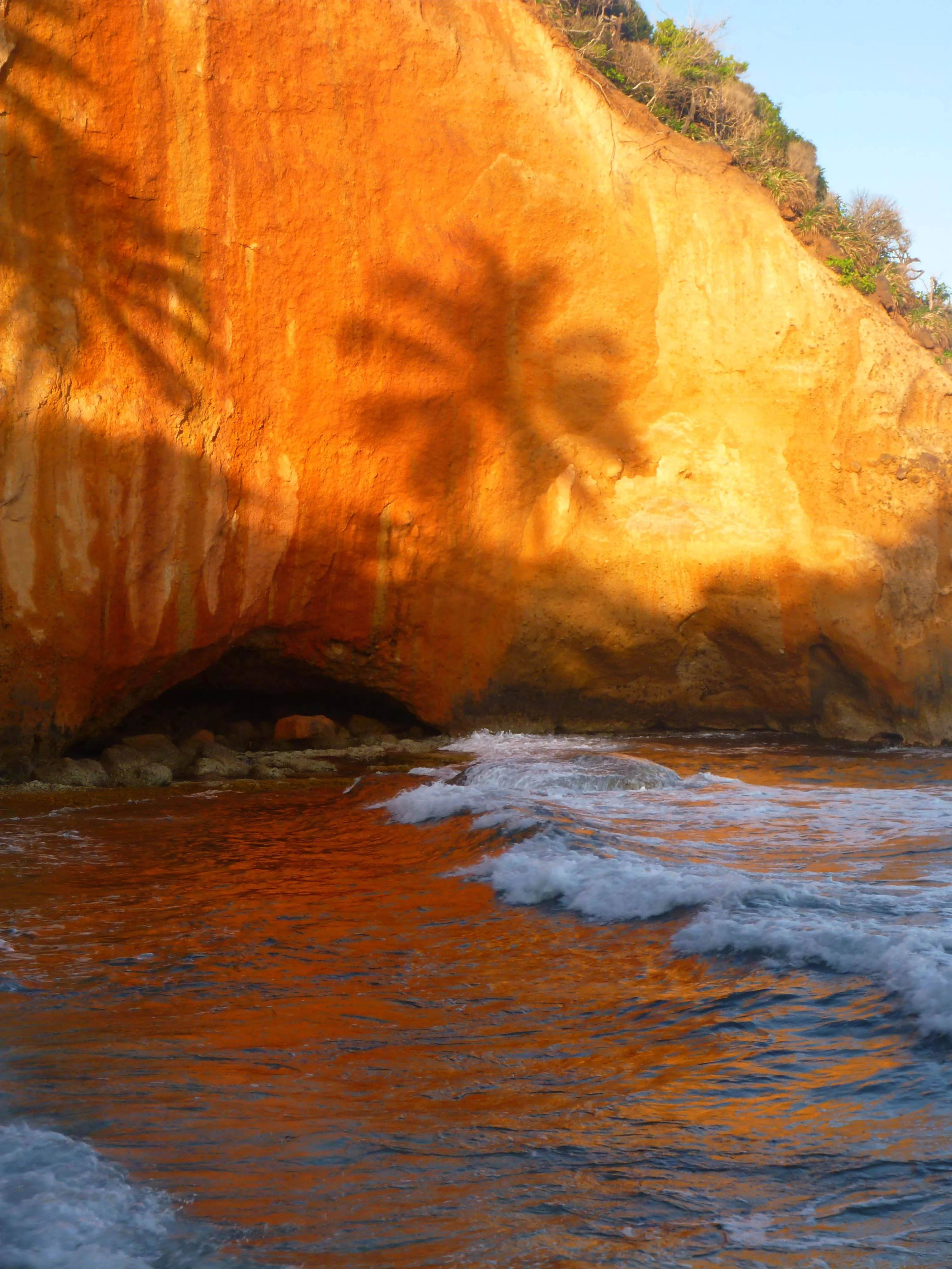 Palm shadow  posted by colapepsikinnie