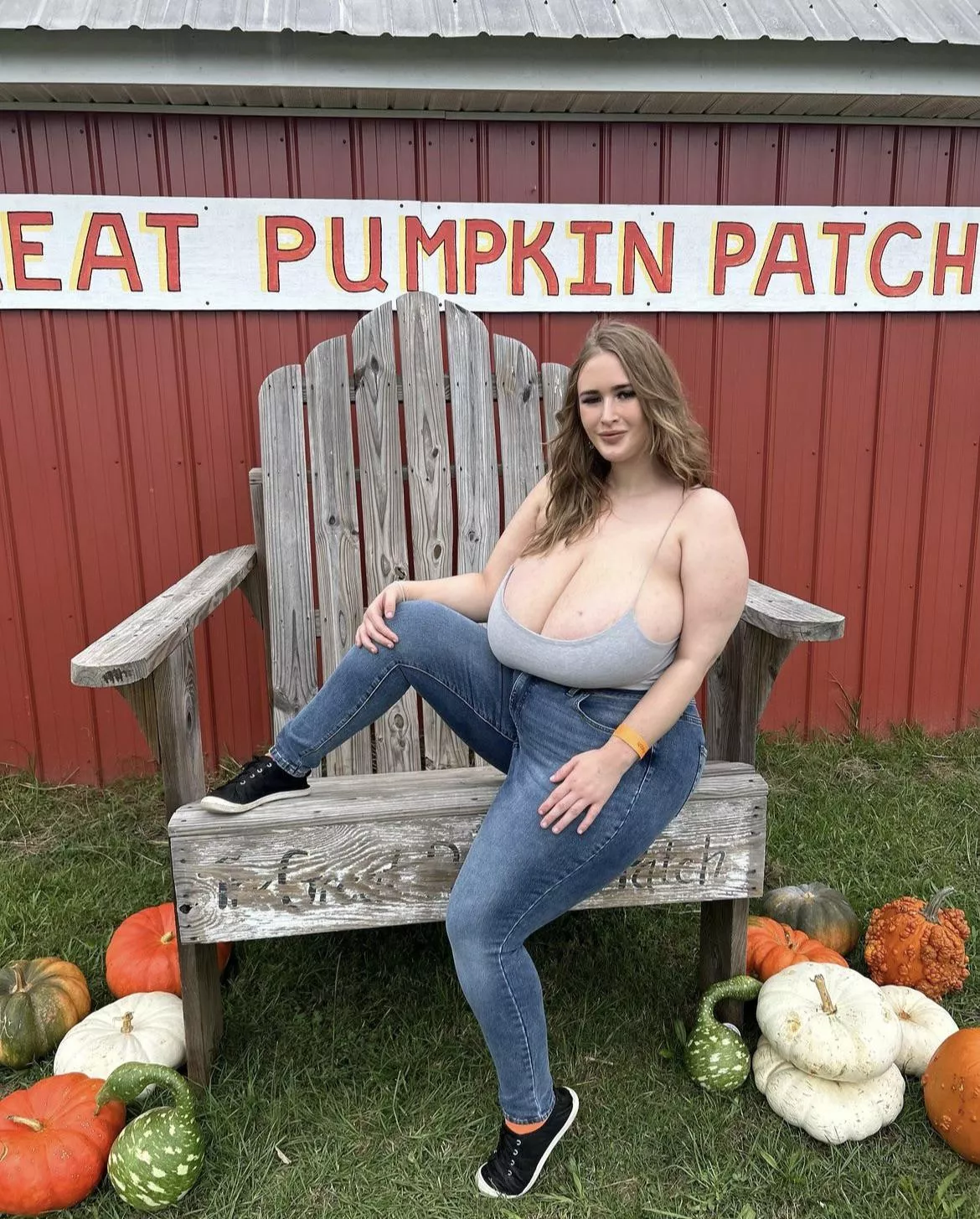 Pumpkin patch posted by mrprofessional2424