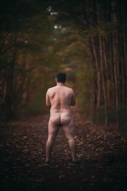 What a beautiful trail by redyellowleather