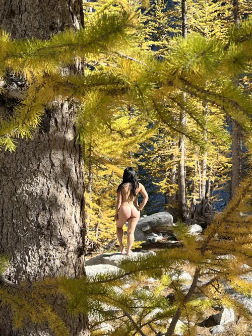 When you go larch hunting, you might be surprised with what else you find out there by jellie_creamed