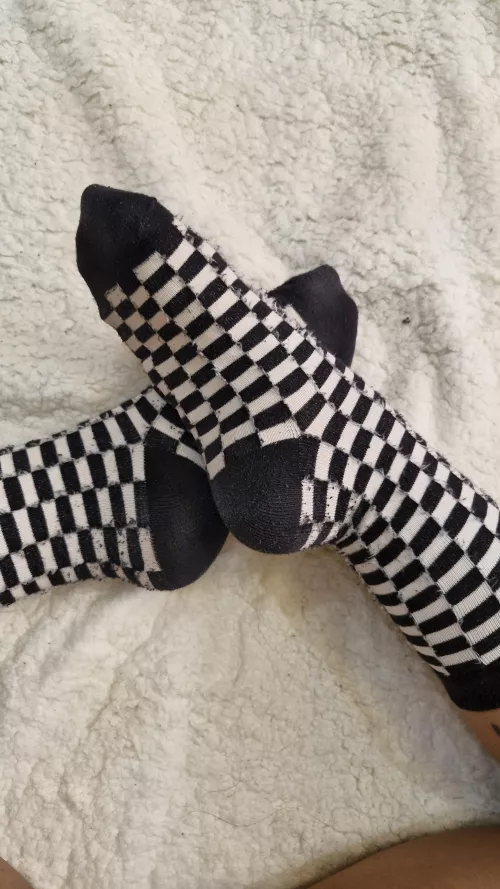 Where do you want them first? On your face or between your legs?  [f] by light_moon_