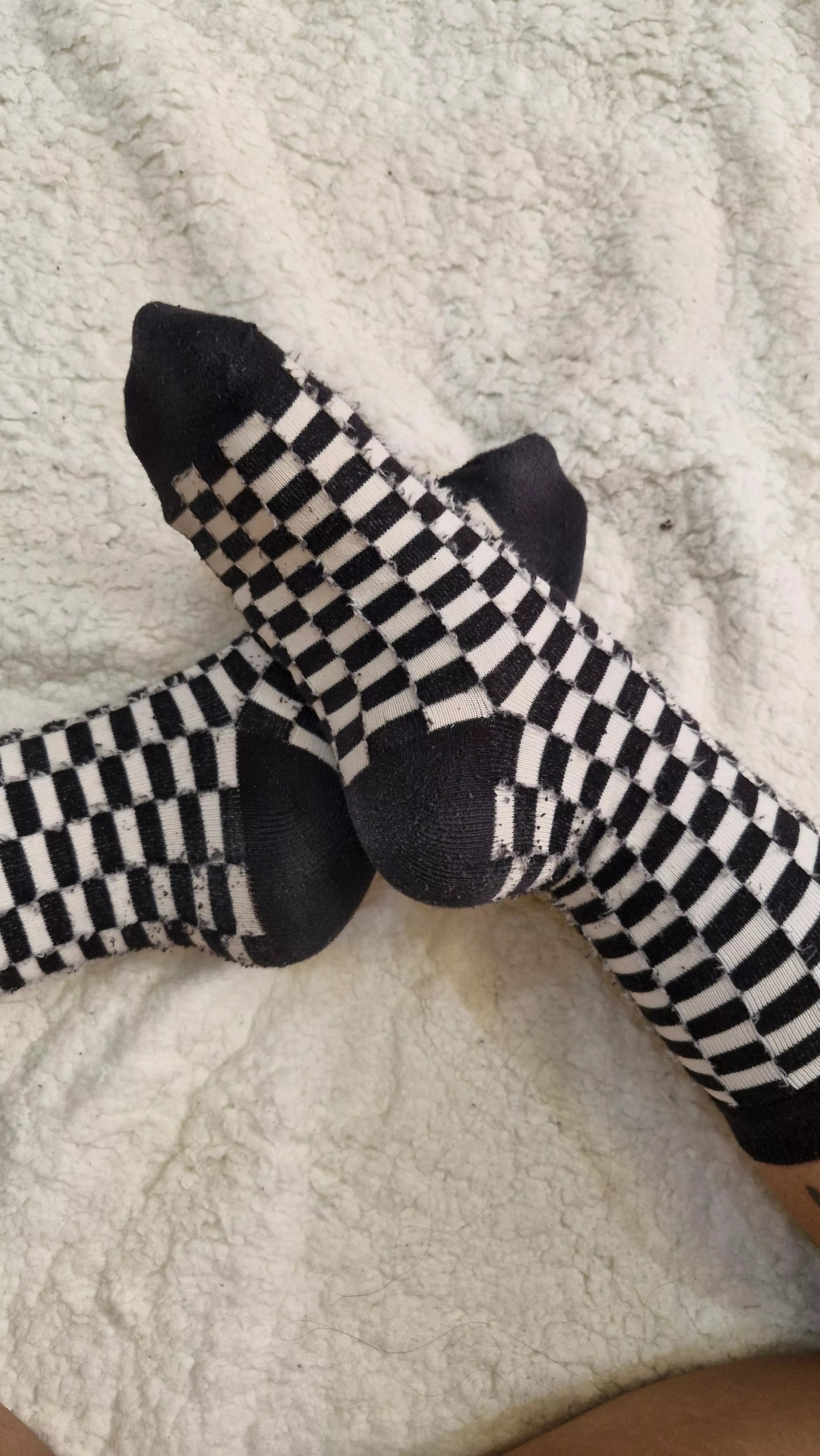 Where do you want them first? On your face or between your legs?  [f] posted by light_moon_