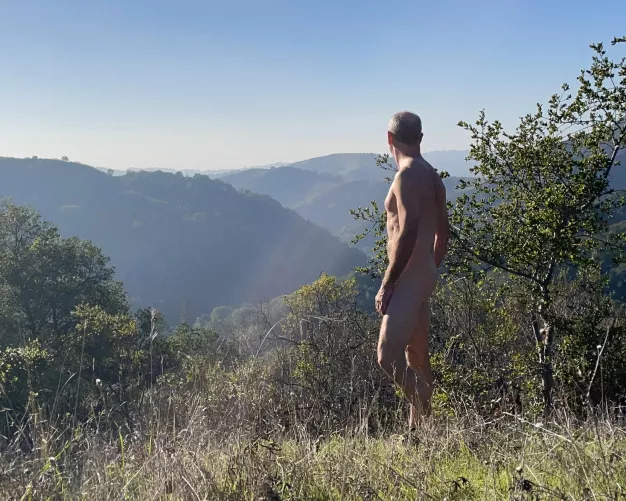 You can see the weekend from up here!  by beachandforestfun