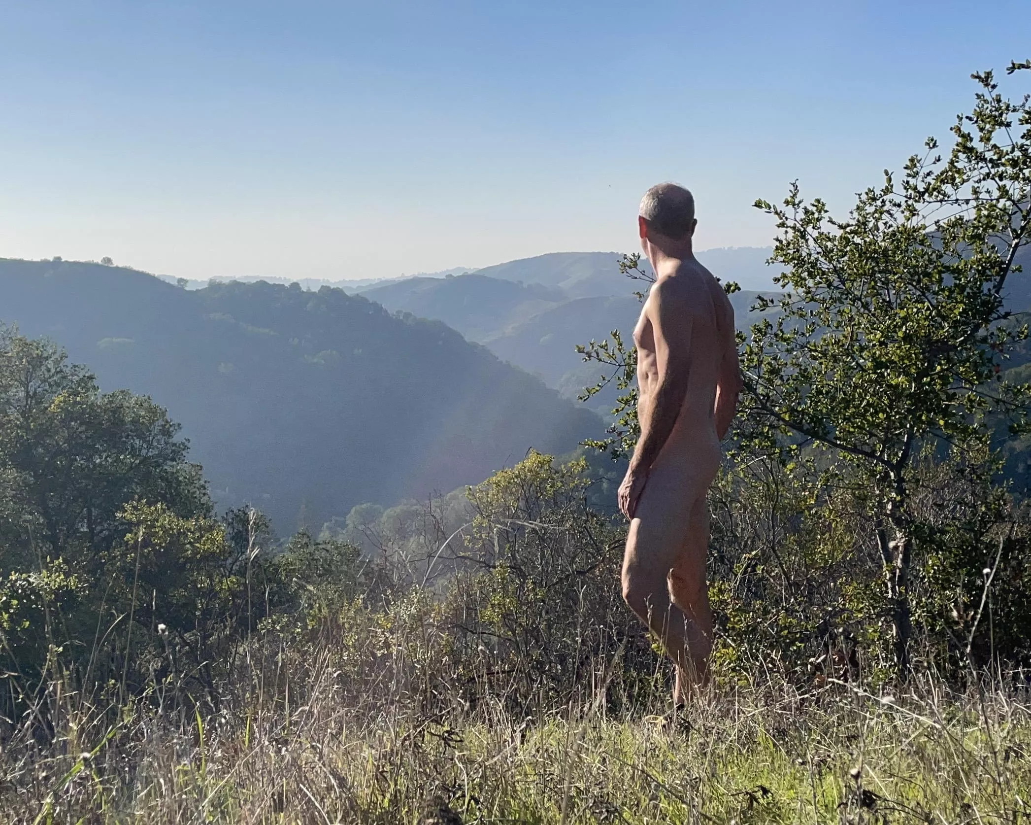 You can see the weekend from up here!  posted by beachandforestfun