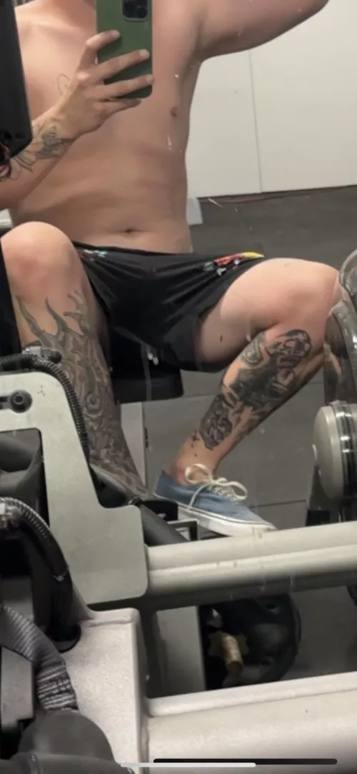 26M 4 mf/f Stanthorpe  by Powerful_Shame_8438