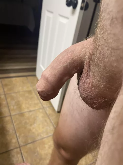 28  by AmbitionDry3660