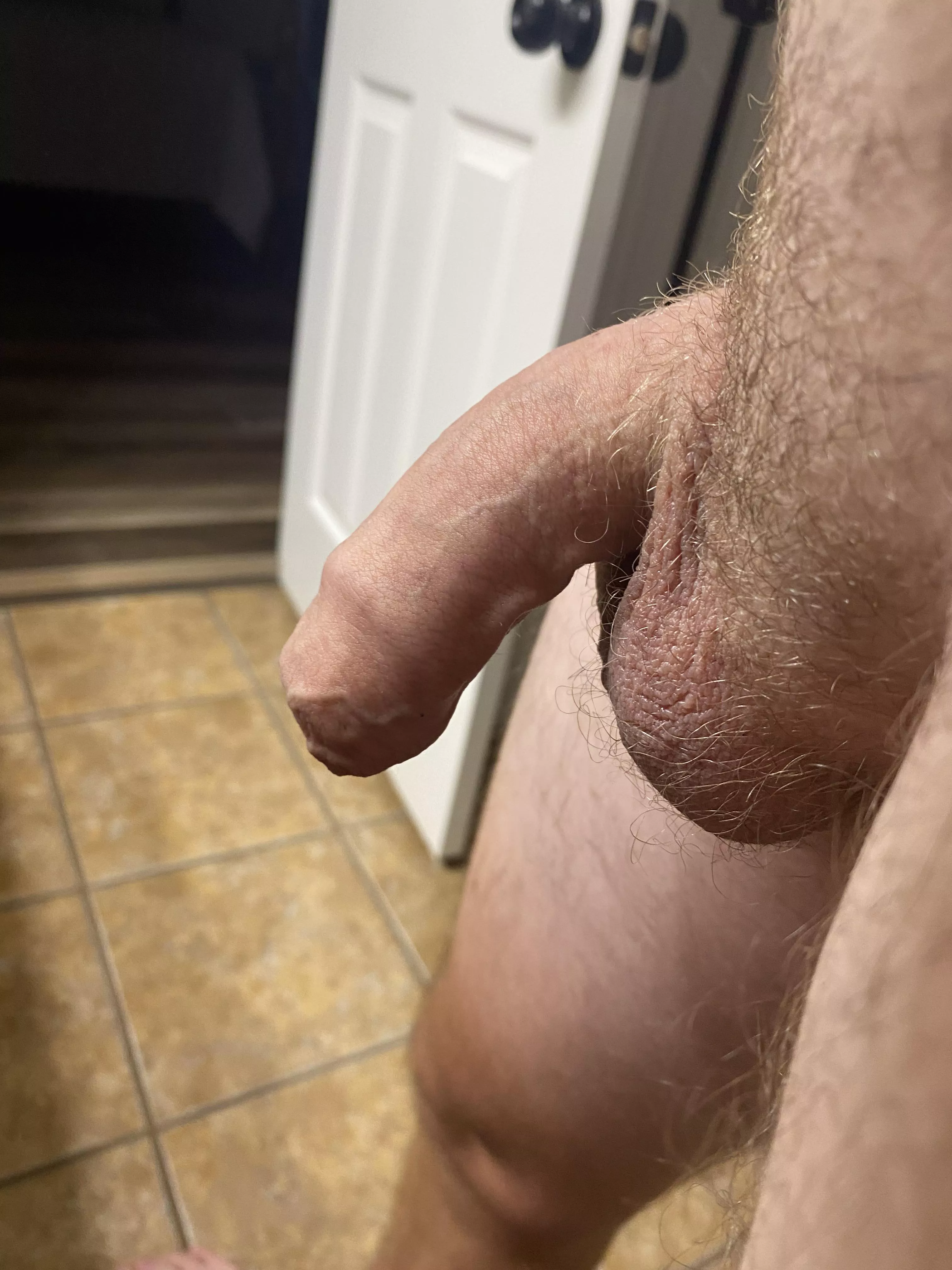 28  posted by AmbitionDry3660