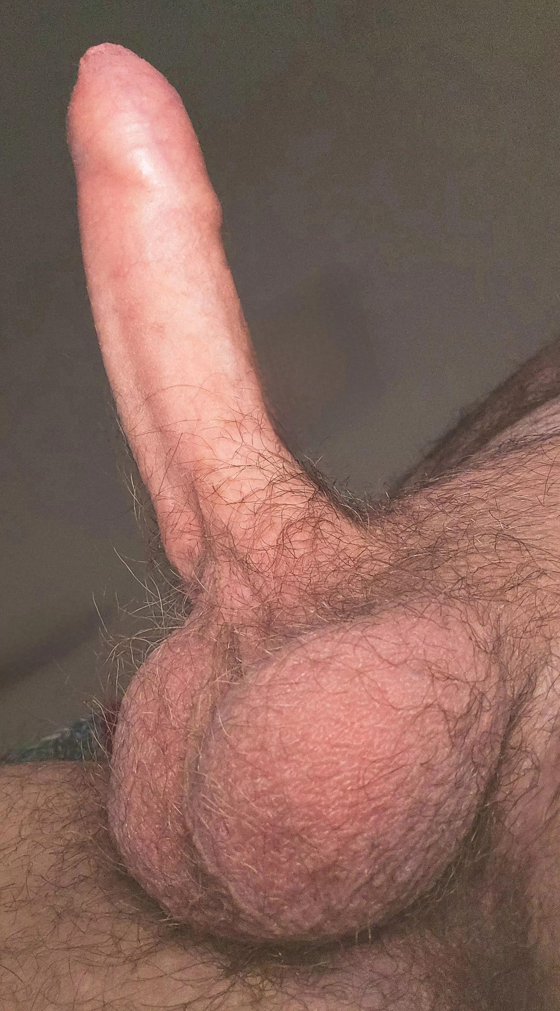 [30] fully erect, full coverage posted by [deleted]