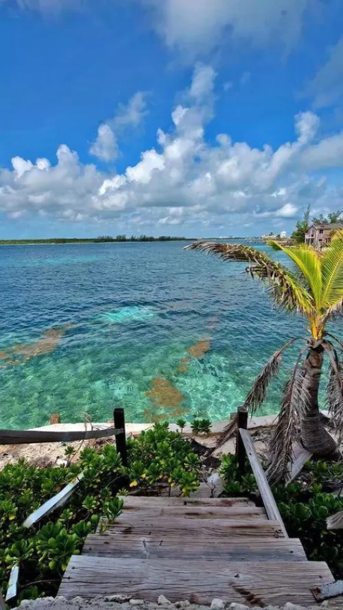 Bahamas beach by achingcra