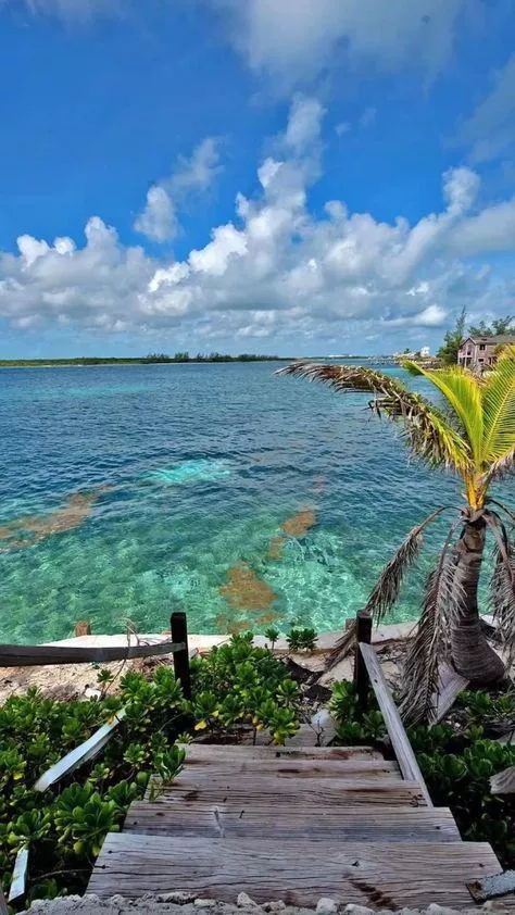 Bahamas beach posted by achingcra