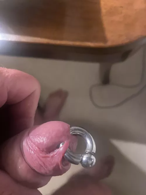 Best to convert to an Apadravya?  by Appropriate-Cloud948