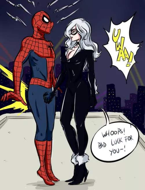 Black Cat BB by Ask_Nice