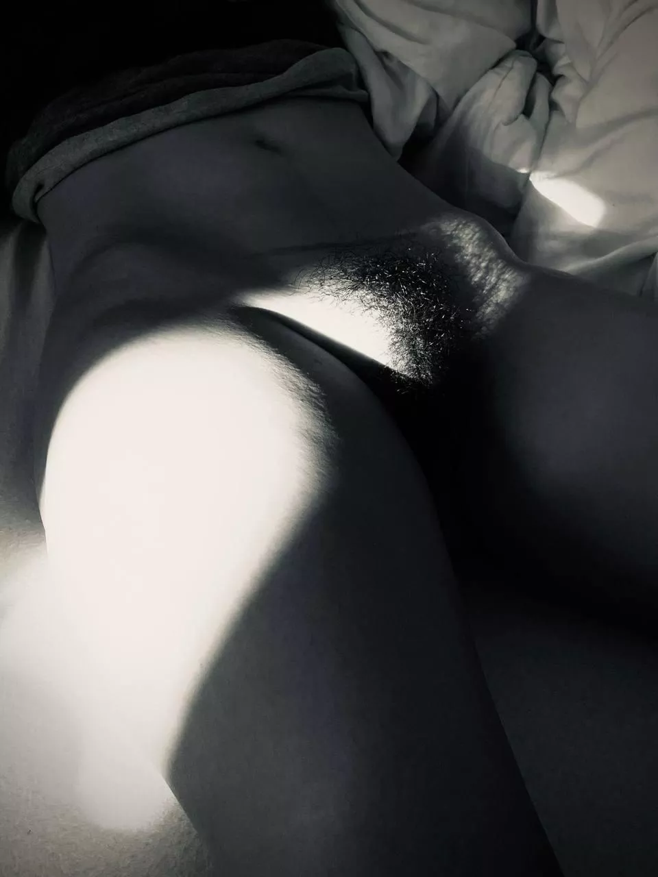 Bush in the shadows posted by mrbln