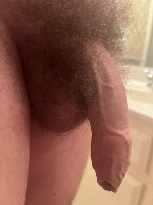 Can he be serviced?? by Crazy-Leg-8179