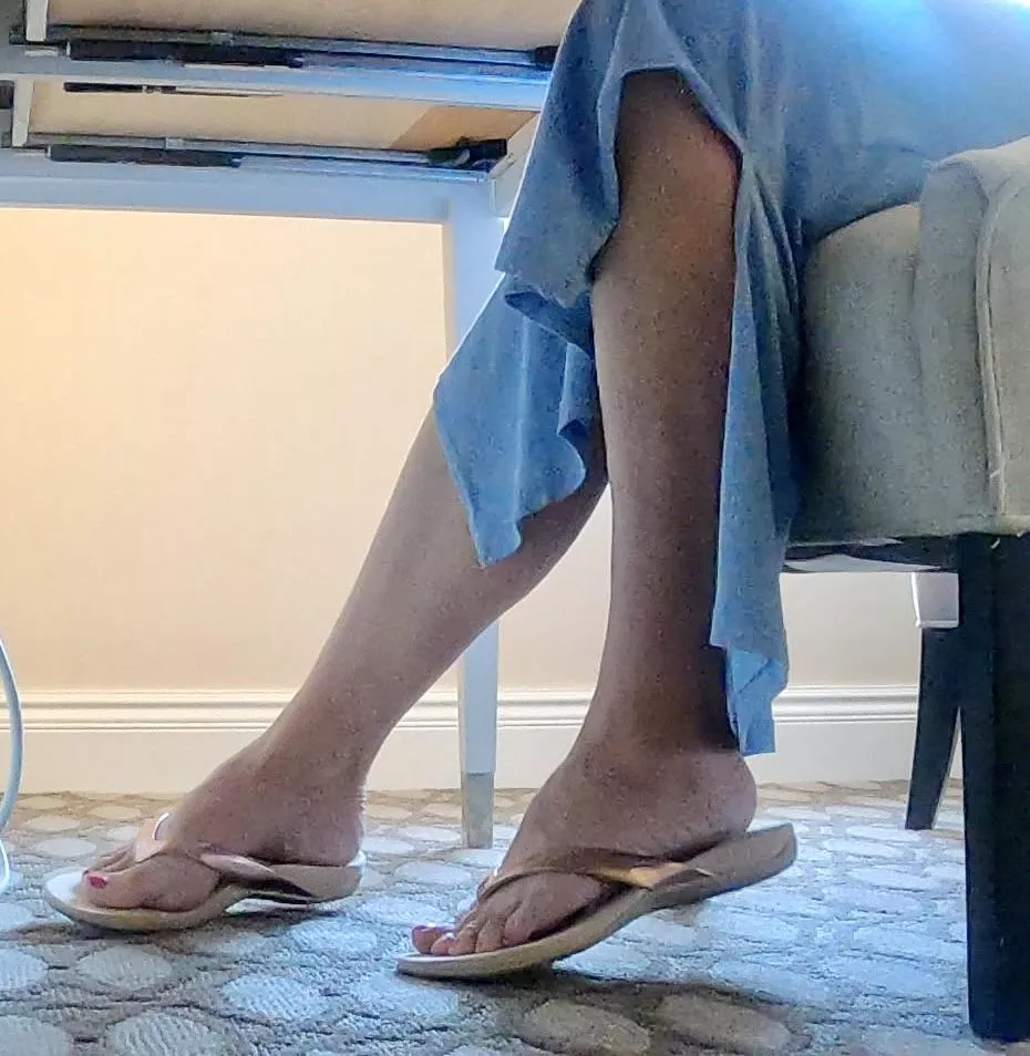 Conference calls are the best  posted by troawiegh